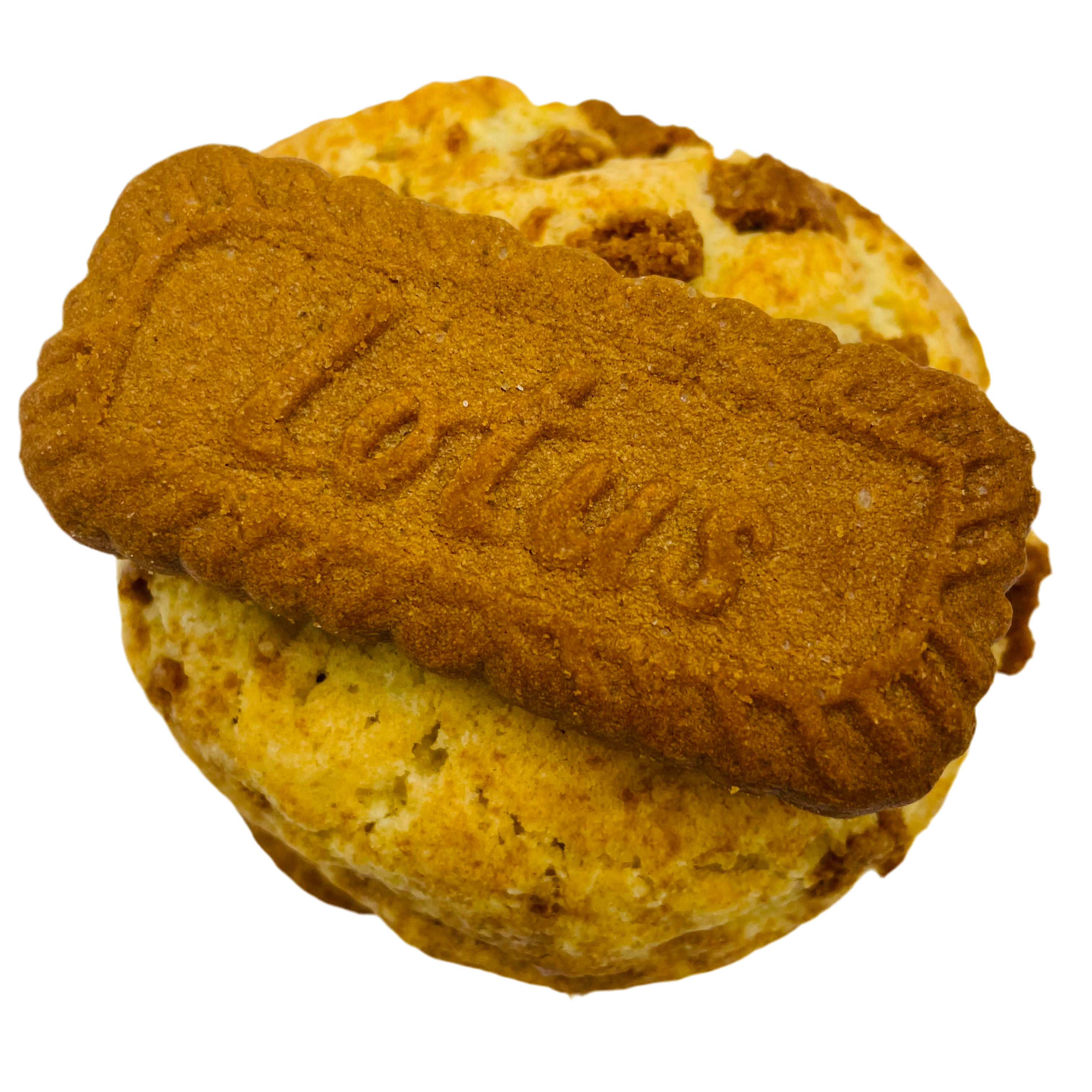 Le Cookie Spéculoos